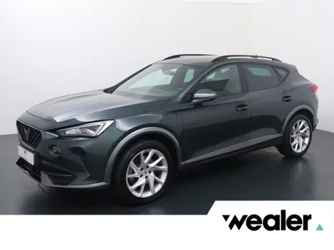 CUPRA Formentor 1.4 TSI e-Hybrid Essential | 204 PK | SoH 91% | Adaptive cruise control | Apple Carp