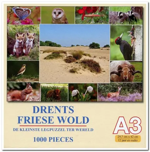 Drents Friese Wold, de kleinste legpuzzel ter wereld