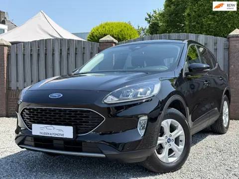 Ford Kuga 2.5 PHEV Titanium X STOELVERWARMING STUURVERWARMING ECC NAVI