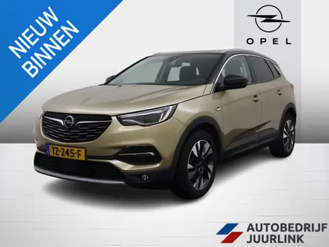 Opel Grandland X 1.2 Turbo Innovation Winterpakket/Leder/Trekhaak