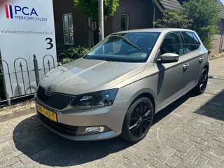 Škoda Fabia 1.2 TSI JOY (bj 2017)