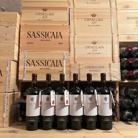 2018 Tenute Lunelli Podernovo Teuto - Toscana IGT - 6