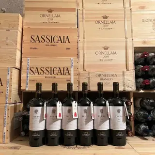 2018 Tenute Lunelli Podernovo Teuto - Toscana IGT - 6