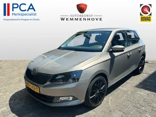 Škoda Fabia 1.2 TSI JOY (bj 2017)