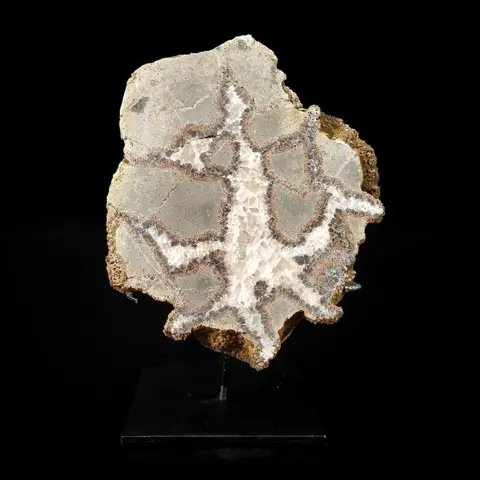 Septaria gesegmenteerde knobbel - 15.5×14×5 cm - 1465 g