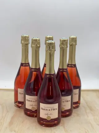 Haton &amp; Filles, Cuvée "Agathe" - Champagne Rosé - 6