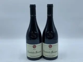 2020 Michel Noëllat - Chambolle Musigny - 2 Flessen (0.75