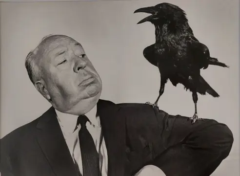 Anonyme - "Hitchcock, the Birds"