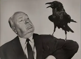 Anonyme - "Hitchcock, the Birds"