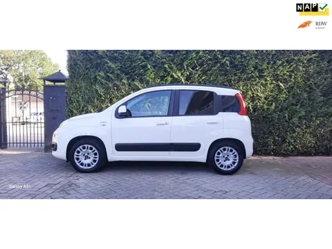 Fiat Panda 0.9 TwinAir Lounge LAGE KILOMETERSTAND NAP