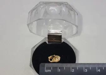 Goud natuurlijk goudklompje Australië - 0.64 g - (1)