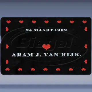 Aram J. van Rijk