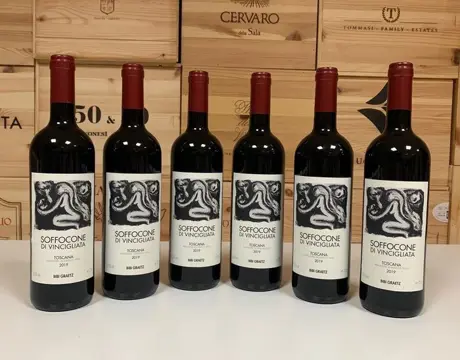 2019 Bibi Graetz Soffocone di Vincigliata - Toscana IGT - 6