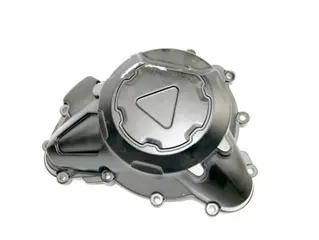 Used Dynamo deksel Tiger 900>'25