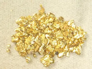 Goudklompjes - Alaska Goud nuggets - 0.59 g