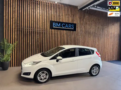 Ford Fiesta 1.0 EcoBoost Titanium Clima,Cruise,Led,Navi,Pdc