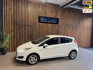 Ford Fiesta 1.0 EcoBoost Titanium Clima,Cruise,Led,Navi,Pdc