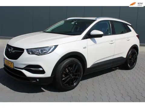 Opel Grandland X Executive 12 MAANDEN GARANTIE