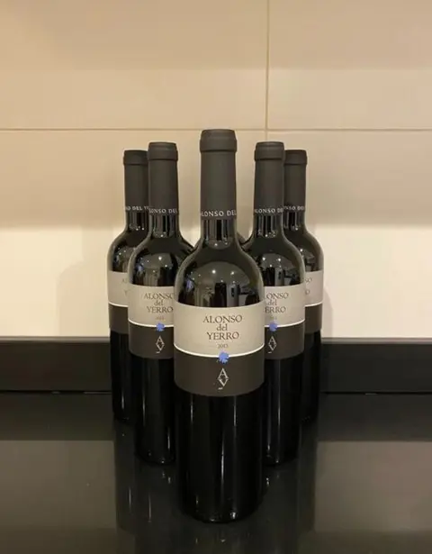 2013 Alonso del Yerro - Ribera del Duero - 6 Flessen (0.75