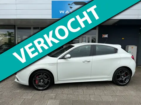 Alfa Romeo Giulietta 1.4 T Distinctive DISTR.+WP VERVANGEN!