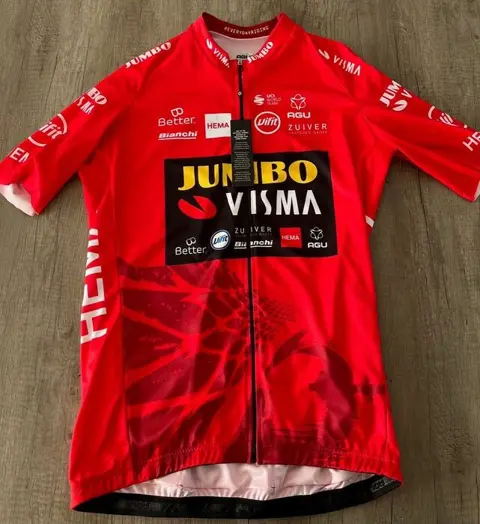 Jumbo Visma - Wielrennen - Primoz Roglic - 2020 - Cycling