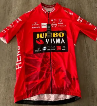 Jumbo Visma - Wielrennen - Primoz Roglic - 2020 - Cycling