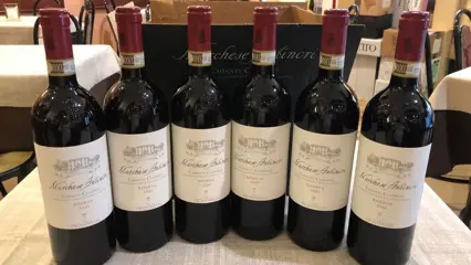 2020 Marchese Antinori, Tenuta Tignanello - Chianti