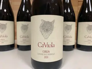 2020 Ca' Viola Langhe Nebbiolo "Giblin" - Piëmont - 6