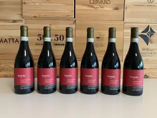 2017 Triacca - Rosso Valtellina Superiore " Sertola" - Lombardije - 6 Flessen (0.75 liter)
