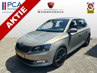 Škoda Fabia 1.2 TSI JOY (bj 2017)