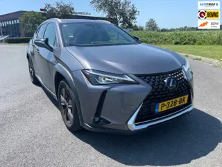 Lexus UX 250h Business Line, Aut, Acc, Stoelvrw, Navi, Pdc, Cam, Leder, LED, Bluetooth, Lmv, Goed oh