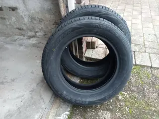 2 Nieuwe Rotalla All Season Banden 195-60-15 88V