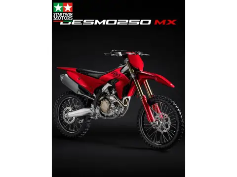 Ducati Desmo 250 MX