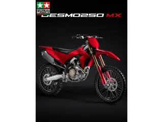Ducati Desmo 250 MX
