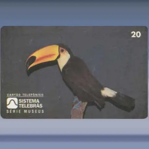 Fauna - Vogels (1996)