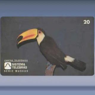 Fauna - Vogels (1996)