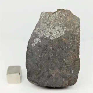 WINONAITE "IN GHAR 001" (Algerije, 2022). Wereldnieuws!!!