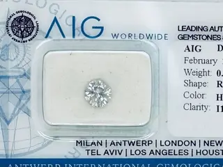 1 pcs Diamant - 0.71 ct - Briljant, Rond - H - P1