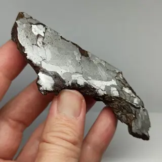 XL METEORITE Campo del Cielo (Argentinië, 4500 jaar)