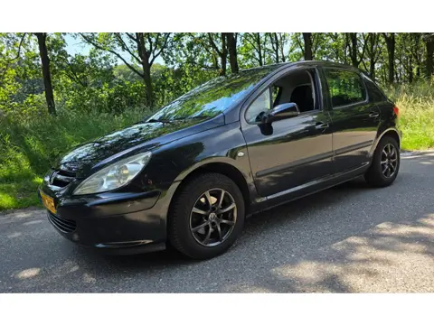 Peugeot 307 1.6-16V Automaat - 5 Deurs - Navi APK 30-07-2027