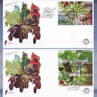 Lang leve het bos (17augustus2010)