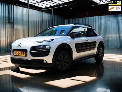 Citroen C4 Cactus 1.6 BlueHDi Business Leder_Camera_Stoelverw_trekh
