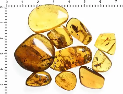 20 stuks Birmese Amber - Allemaal met insluitsels van