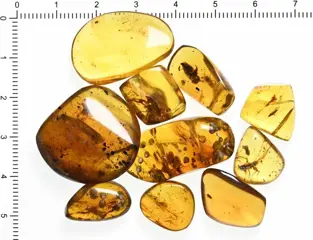 20 stuks Birmese Amber - Allemaal met insluitsels van