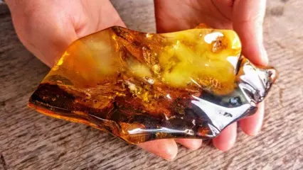 Unieke Grote Baltische Ambersteen - Gepolijste - 14×7×4 cm