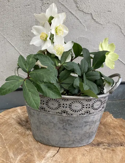 METALEN PLANTENBAKKEN FLOWER DESIGN OVAAL OLD LOOK MAAT M NIEUW