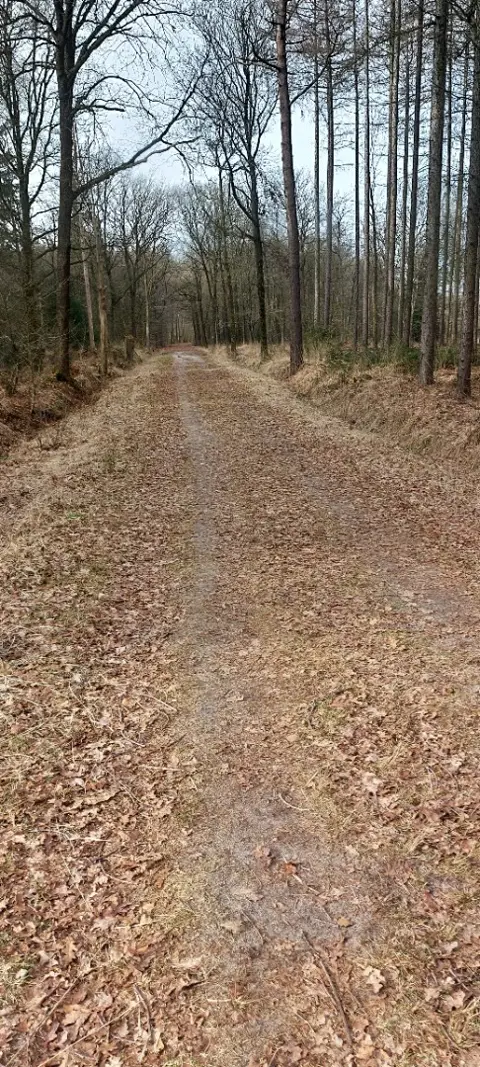 Man zoekt een leuke dame