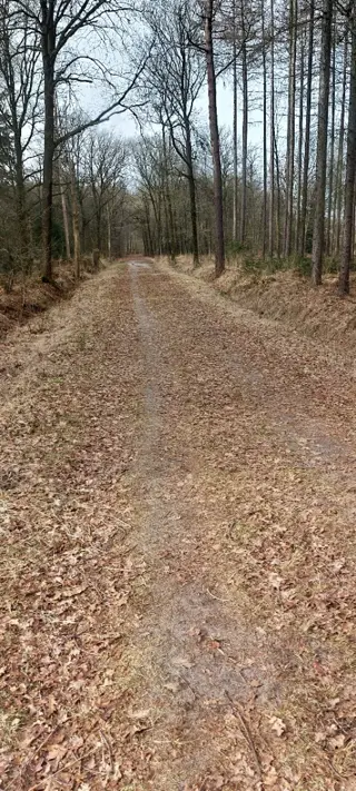 Man zoekt een leuke dame