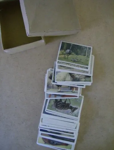 Veel plaatjes verkade plaatjes album adv 2466