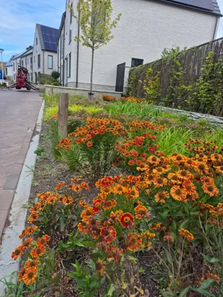Woning aan de Stijging te Eindhoven